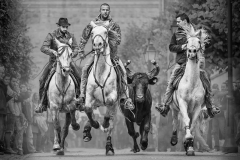 C0248203_Adrian-Lines_Bull-Run