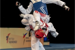 Taekwondo, Park vs Romero