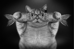 Best-Mono-Images-Lynn-Morris-Bronze